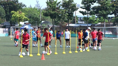 A Ho Si Minh-városi Sport- és Testnevelési Egyetem szervezi a 2026-os tehetségfelvételi vizsgát.