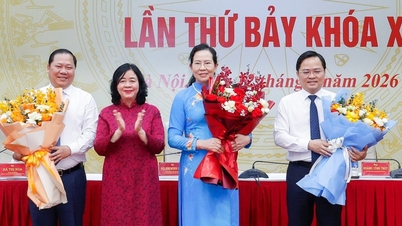 លោក ង្វៀន ភីឡុង លោក ង្វៀន អាញ ទួន និងលោកស្រី ឡេ ធី ធុយ ត្រូវបានតែងតាំងជាអនុប្រធានគណៈកម្មាធិការកណ្តាលនៃរណសិរ្សមាតុភូមិវៀតណាម។