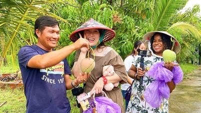 Khanh Hoa a mezőgazdasági turizmus népszerűsítését szeretné lehetővé tenni a turisták számára, hogy juhokat etessenek és mangót szedjenek.