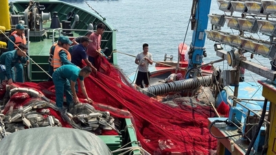 Hải đội Dân quân thường trực Đà Nẵng kịp thời cứu hộ tàu cá gặp nạn trên biển