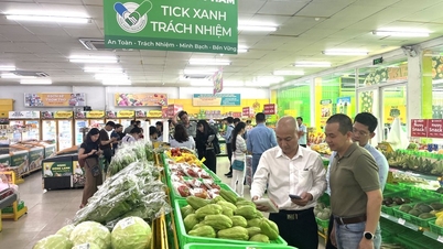 Ho Chi Minh-stad: Verscherping van de importcontroles en opbouw van een wereldwijde database met teruggeroepen producten.
