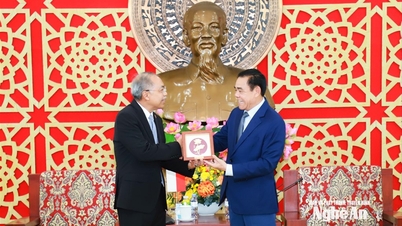 Nghe An İl Halk Komitesi Başkanı Vo Trong Hai, Endonezya'nın Vietnam Büyükelçisini kabul etti.