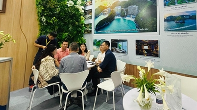 A 2026-os Vietnami Nemzetközi Turisztikai Vásár áttörést ígér a turizmusban.