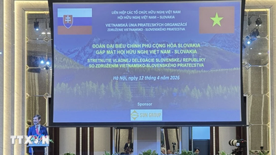 Maintaining, preserving, and developing the connection between the people of Vietnam and Slovakia.