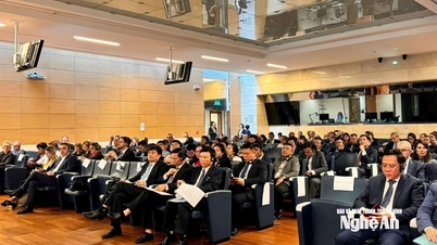 Nghe An İl Parti Komitesi Sekreteri Nguyen Khac Than, Türkiye'de düzenlenen 152. IPU Genel Kurulu'na katılan üst düzey Vietnam heyetinde yer aldı ve İtalya'ya resmi bir ziyaret gerçekleştirdi.