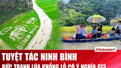 To hester som bøyer seg i ærbødighet: Et kolossalt mesterverk vevd fra rismarkene i Tam Coc - Ninh Binh.
