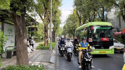 Ho Chi Minh-stadens folkkommitté har anmält sig till stadsfullmäktige för att utarbeta ett resolutionsförslag om gratis busstrafik, vilket förväntas godkännas i april.