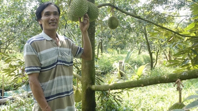 Linking up to take durian further afield.