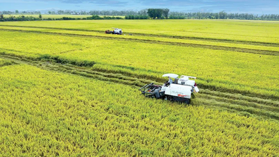 Zöld Mekong-delta építése - Közös törekvések, közös tettek. Záró cikk: A fejlődési tengely eltolása, áttörés a jövőbe.