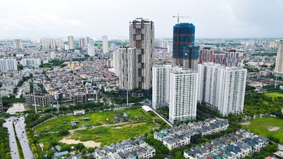 Which city has the most expensive services in the country?