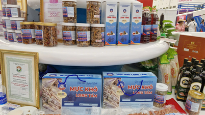 Elevating the quality of OCOP products from coastal villages.