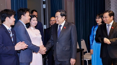 Effectively leveraging the valuable resources of Vietnamese people living abroad.