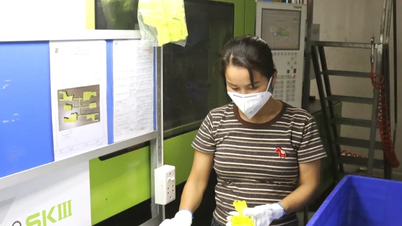 Компания GY Vietnam Co., Ltd.: стремится создавать рабочие места для большего числа сельских жителей.