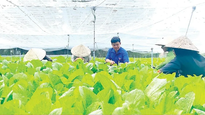By 2026, each locality will provide vocational training for at least 50 rural workers.