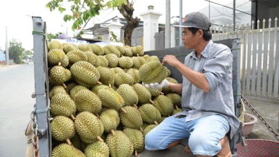 Removing bottlenecks in agricultural exports