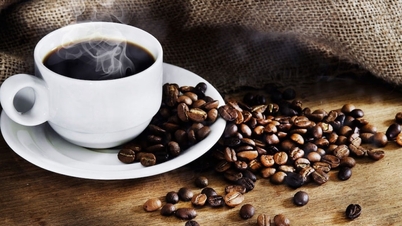 Koffieprijzen vandaag, 13 april 2026: Licht gestegen met 200-300 VND/kg