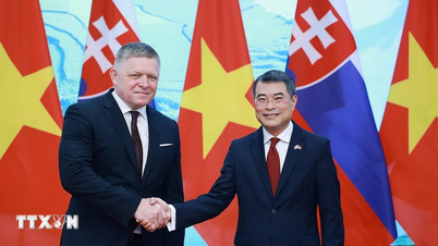 Prime Minister Le Minh Hung held talks with Slovak Prime Minister Robert Fico.
