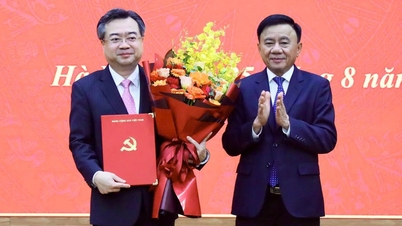 Pan Nguyen Thanh Nghi se ujímá funkce vedoucího oddělení pro politiku a strategii ústředního výboru.