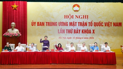 A 7-a Conferință a Comitetului Central al Frontului Patriei Vietnam, al 10-lea mandat: A unificat conținutul celui de-al 11-lea Congres, a consultat și a ales 3 vicepreședinți.