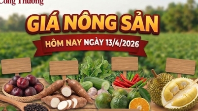 ราคาสินค้าเกษตรวันนี้ 13 เมษายน: สินค้าหลายรายการมีราคาสูงขึ้น