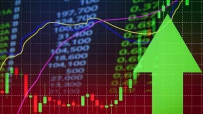 La bolsa de valores se dispara, acercándose a la marca de los 1.800 puntos.