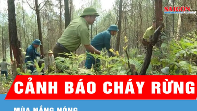गर्मी के मौसम में जंगल में आग लगने की चेतावनी।