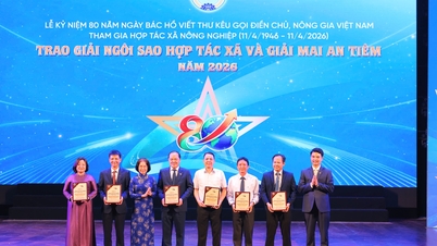 A Saigon Co.op megtiszteltetésben részesült, hogy a Vietnami Szövetkezeti Szövetség rangos oklevelet vehetett át a Vietnami Szövetkezeti Napon, április 11-én.