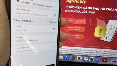 Agribank blocked over 91,000 unusual money transfer transactions.