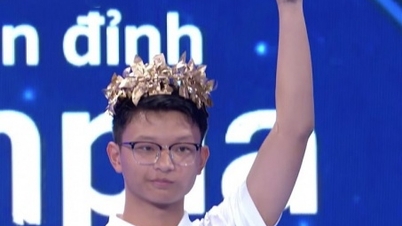 A male student from Ha Tinh province won the Road to Olympia competition with a score of over 300.
