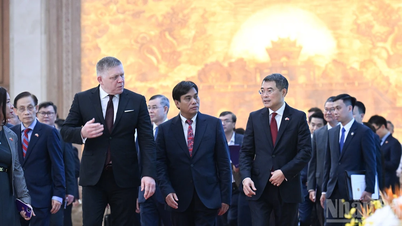[Foto] Premiärminister Le Minh Hung håller samtal med Slovakiens premiärminister Robert Fico