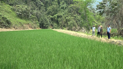 খে লং আকাঙ্ক্ষা ২