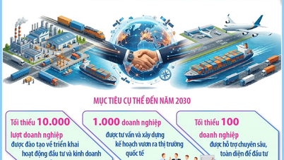 Programul de extindere a pieței internaționale, 2026-2030