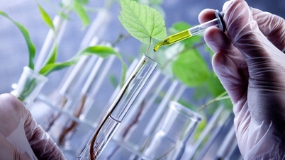 Biotechnológiai alkalmazások: Fenntartható út a hazai erőforrásokból.