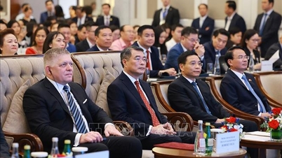 Perdana Menteri Le Minh Hung dan Perdana Menteri Robert Fico menghadiri Forum Perniagaan Slovakia-Vietnam.