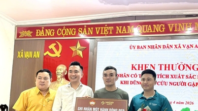 Nghe An: Liderii comunei Van An laudă imediat actul curajos de salvare a unei persoane care se îneca.