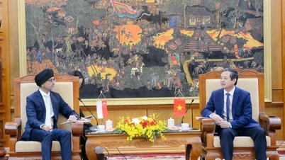 De voorzitter van het Volkscomité van de provincie Bac Ninh, Pham Hoang Son, ontvangt de ambassadeur buitengewoon en gevolmachtigd van de Republiek Singapore in Vietnam.