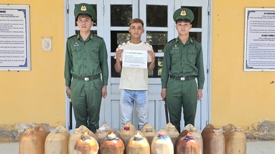 Numerous cases of illegal gasoline and diesel transportation across the An Giang border have been detected.