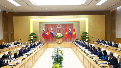Vietnam és Szlovákia miniszterelnökei megállapodtak abban, hogy stratégiai partnerséggé fejlesztik kapcsolataikat.