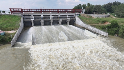 ताई निन्ह शहर दाऊ टिएंग जलाशय में जलस्तर को सक्रिय रूप से नियंत्रित करता है।