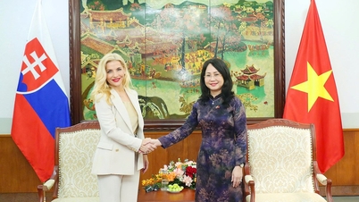 Vietnam – Slowakije: Bevordering van samenwerking op cultureel gebied