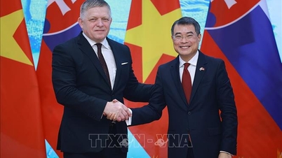 Společné prohlášení o navázání strategického partnerství mezi Vietnamem a Slovenskem