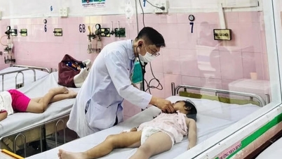 हो ची मिन्ह सिटी में 200 से अधिक छात्रों को प्रभावित करने वाली खाद्य विषाक्तता के कारणों की जांच अधिकारी कर रहे हैं।