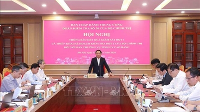 Anunțarea concluziilor inspecției și supravegherii cu Comitetul permanent al Comitetului de partid din provincia Cao Bang.