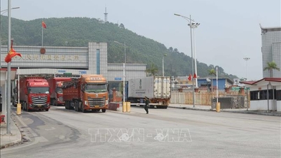 Wietnam – Chiny: Nowe czynniki wzrostu handlu.