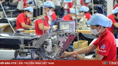 Hanoi: Nearly 50,000 workers found employment in the first three months of the year.