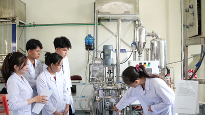 Da Nang University of Technology and Education öppnar ett nytt huvudämne i halvledare.