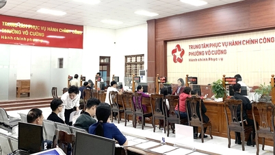 Бакнінь впроваджує рішення для підвищення конкурентоспроможності та покращення бізнес-середовища.