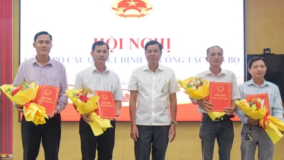 Establish the Vinh Phong Commune Comprehensive Service Center.