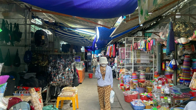 Phuoc Thai Market Planning: Local authorities tasked with reviewing and assessing the current situation.