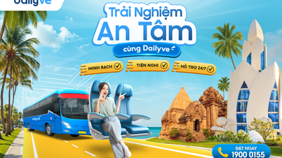 Flexible travel options with the Dailyve booking platform.